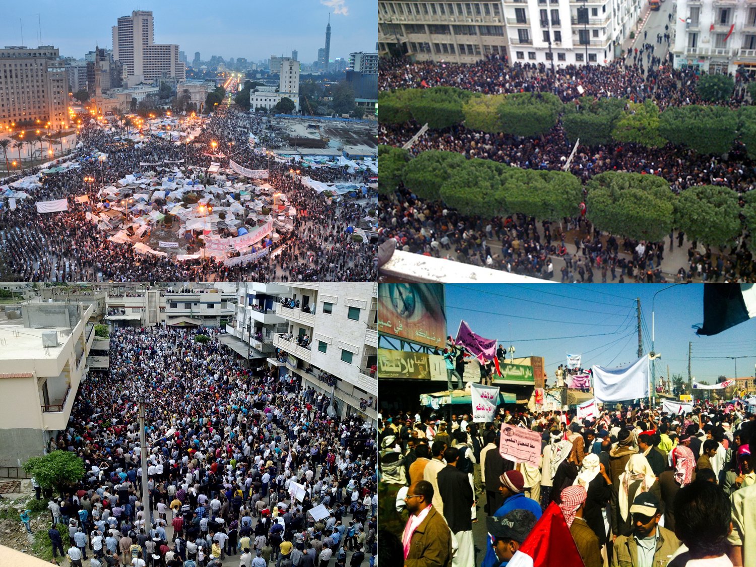 Arab Spring - 2011